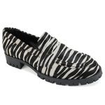 2646zebra1