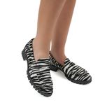 2646zebra2