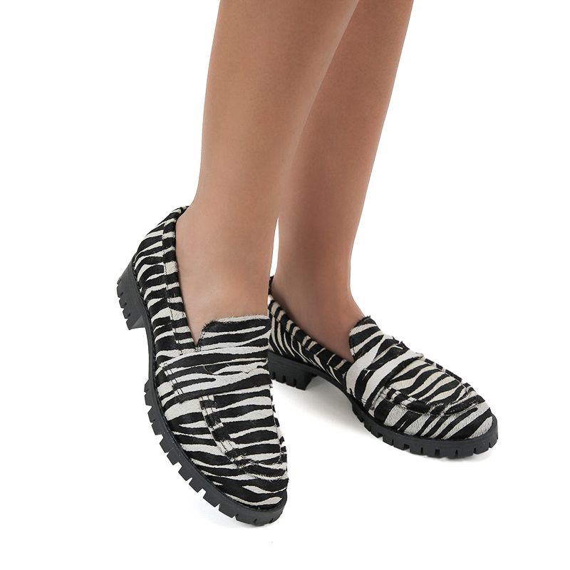 2646zebra2
