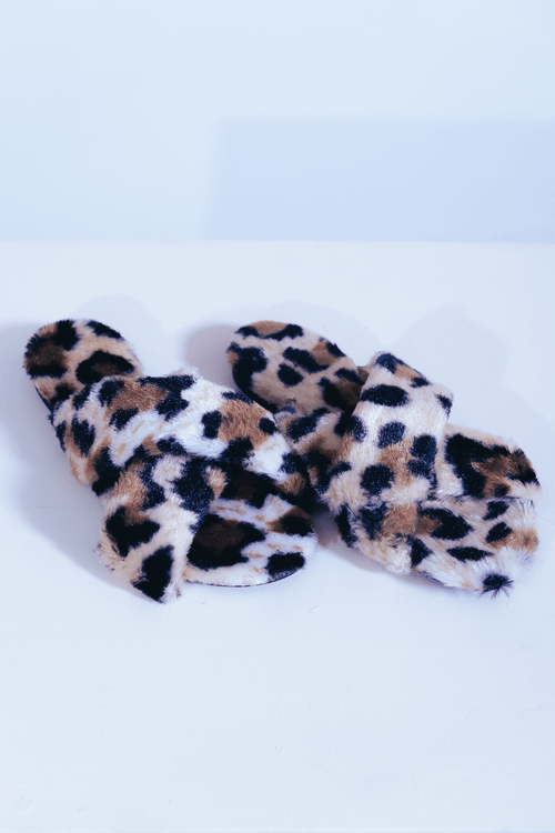 Pantufa Ana Carla Onça